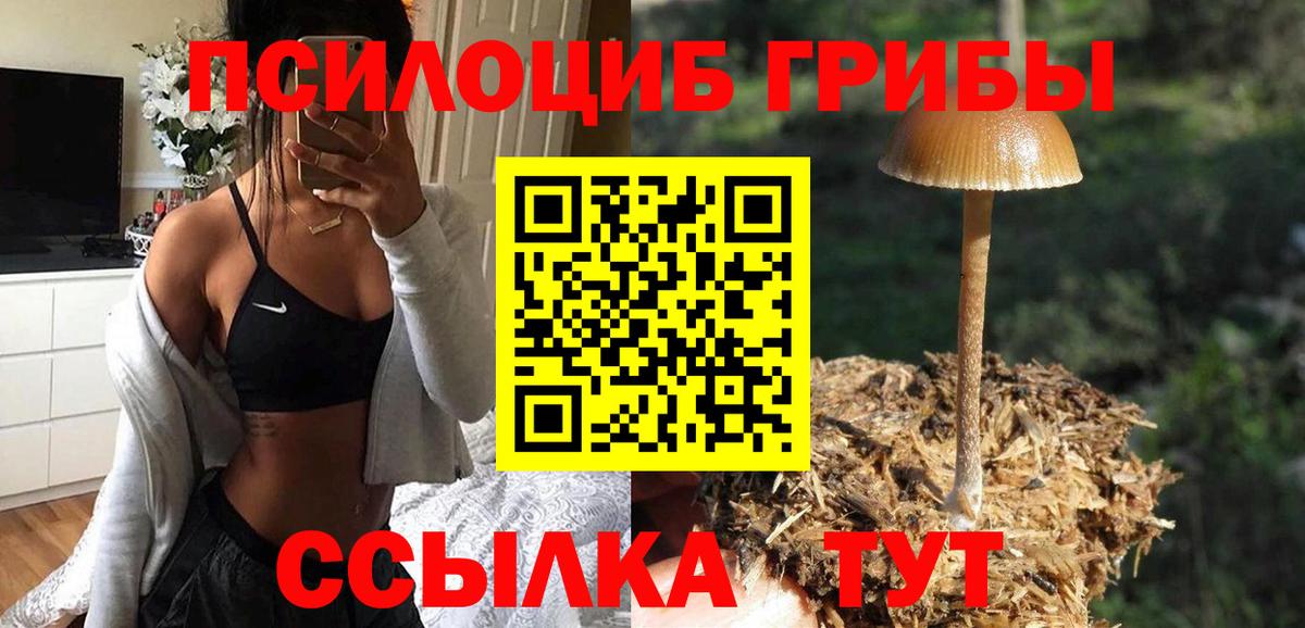 Ковров  Псилоцибиновые грибы MAGIC MUSHROOMS  Вход с VPN 